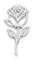 rose icon