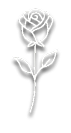 rose icon